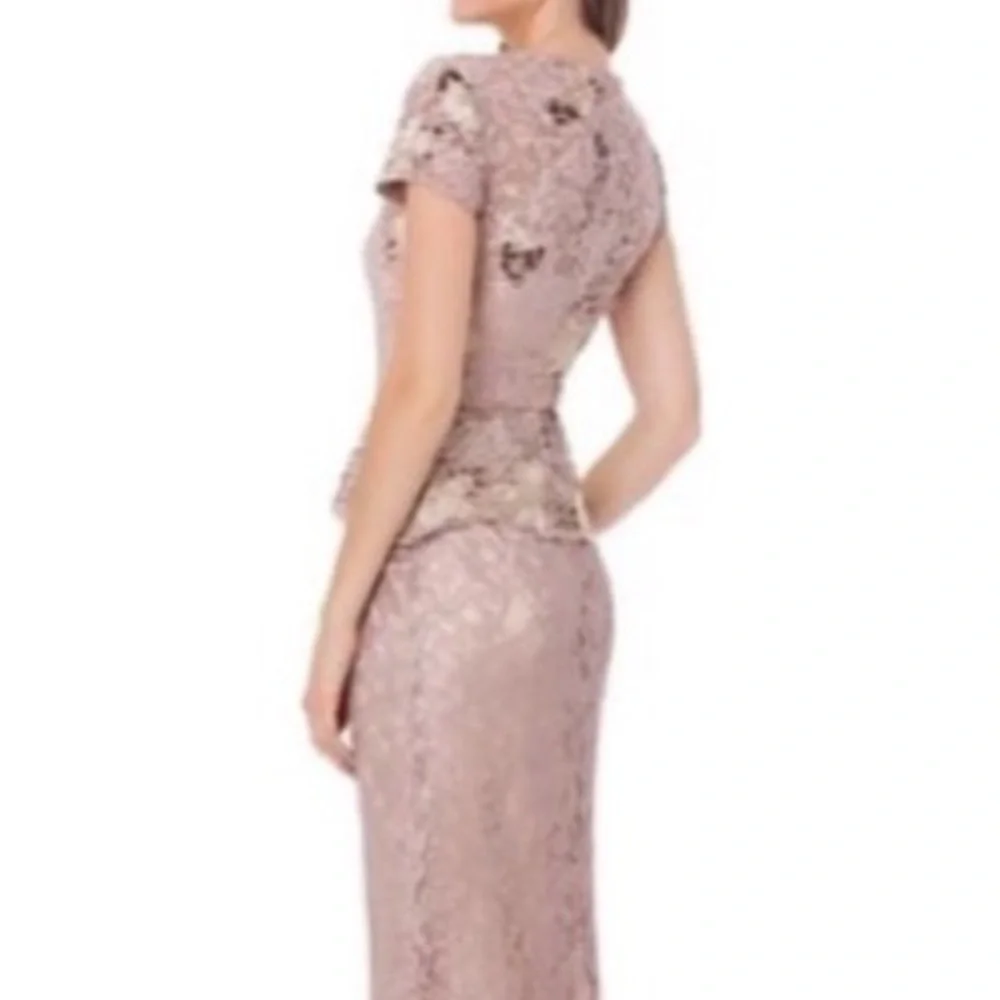 JS Collections Blush Color Lace Gown - Picture 4 of 16